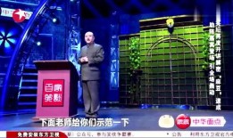 孙建宏笑傲江湖麻豆,揭秘网络红人的崛起之路